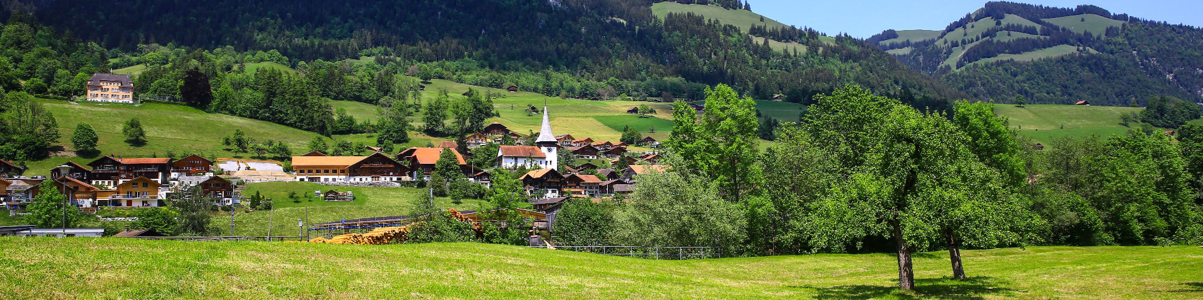 Gemeinde Erlenbach im Simmental -Startseite