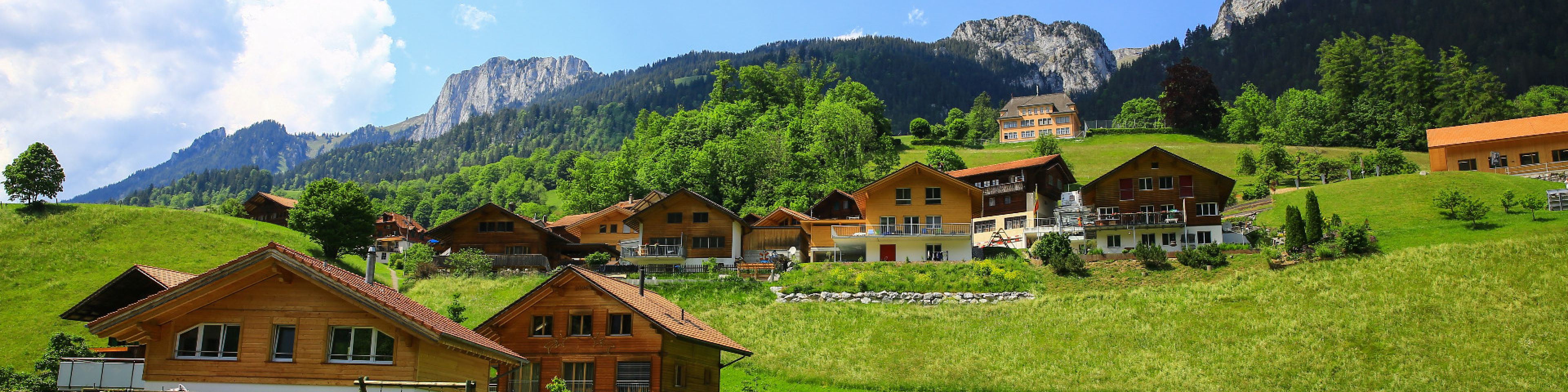 Gemeinde Erlenbach im Simmental -Startseite