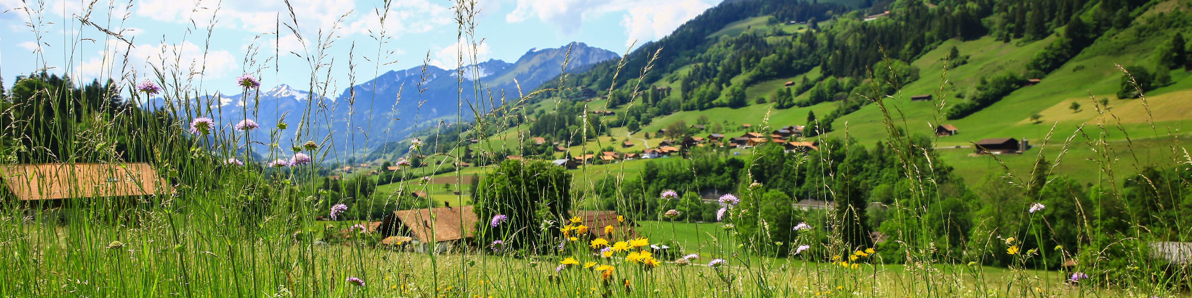 Gemeinde Erlenbach im Simmental -Startseite